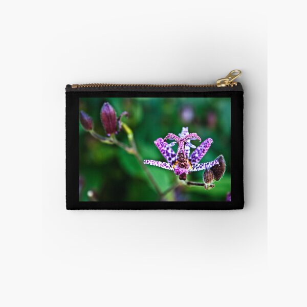 Item preview, Tricyrtis flower ( Toad Lily )  designed and sold by Vicki Field.