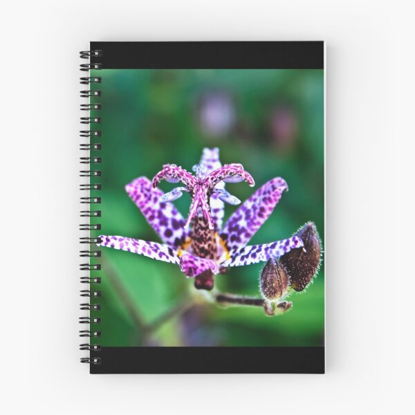 Item preview, Tricyrtis flower ( Toad Lily )  designed and sold by Vicki Field.