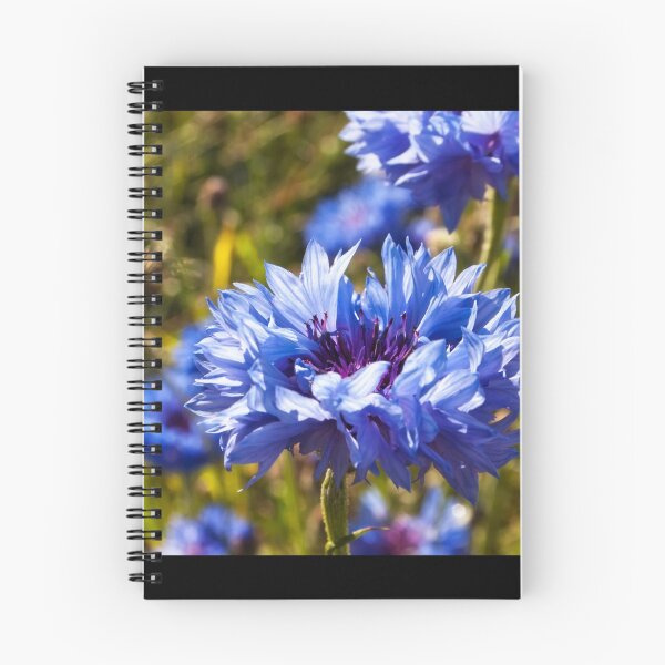 Item preview, Blue petals designed and sold by Vicki Field.
