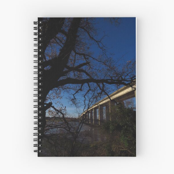 Item preview, The Orwell Bridge & Old Oak Tree designed and sold by wiggyofipswich.