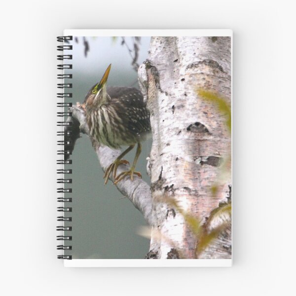 Item preview, Heron in the Birch Tree... designed and sold by RichImage.