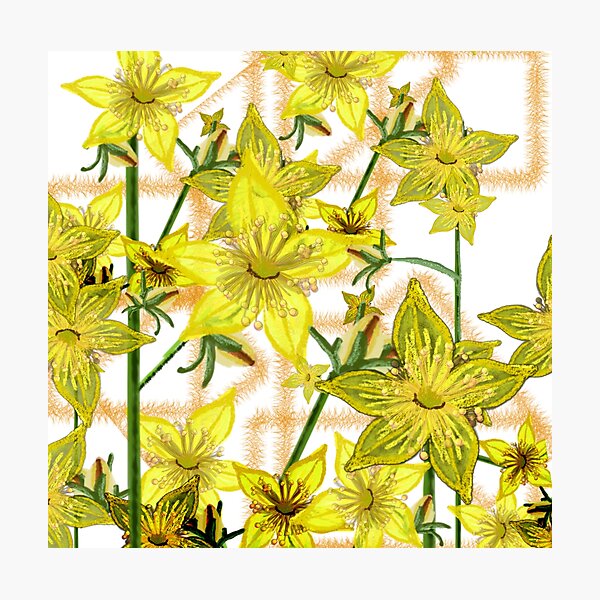 Item preview, The Power of St. John's Wort designed and sold by GreenElizabeth.