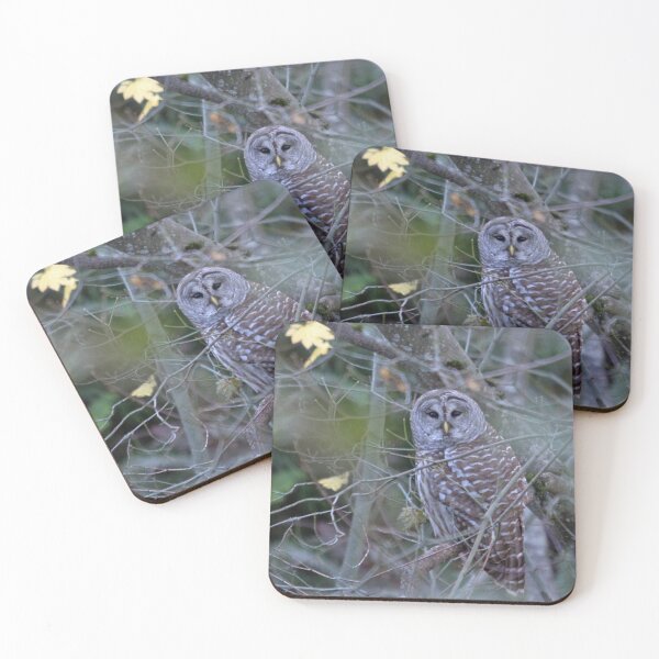 Item preview, Strix Varia up close... designed and sold by RichImage.