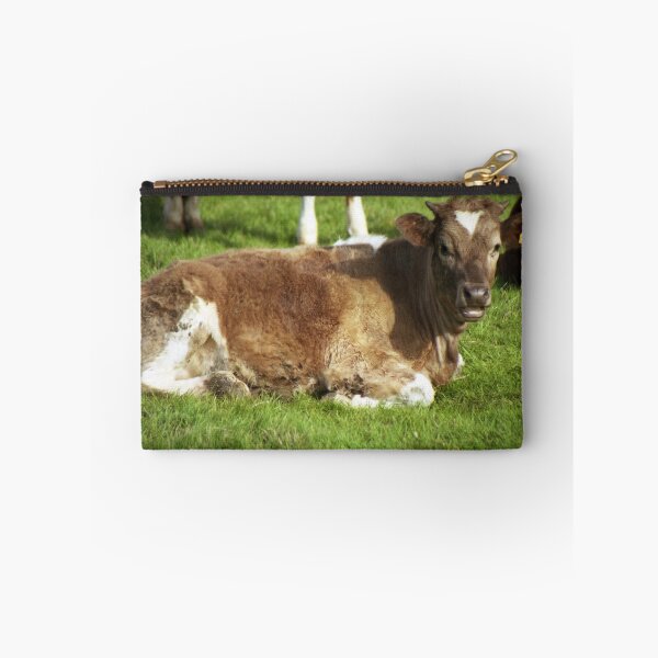 Item preview, A calf of Llanfairfechan. designed and sold by Michael Haslam.