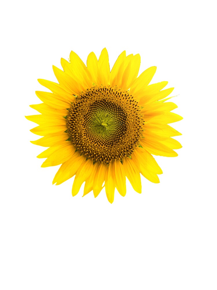 Camiseta para niños «Patrón de girasol francés» de JNaturally | Redbubble