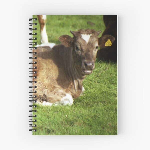 Item preview, A calf of Llanfairfechan. designed and sold by Michael Haslam.