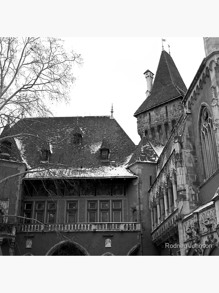 Vajdahunyad Castle, Budapest by rodneyj46