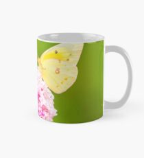 Cloudless Sulphur Butterfly Mug