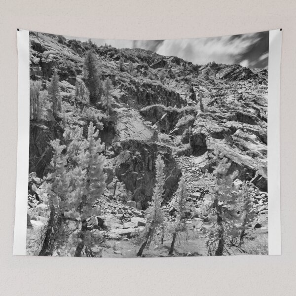Item preview, Ten Lakes Basin - Yosemite N.P. designed and sold by Rodney Johnson.