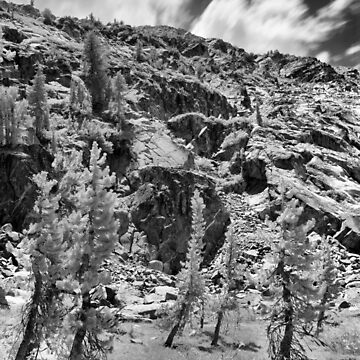 Artwork thumbnail, Ten Lakes Basin - Yosemite N.P. by Rodney Johnson