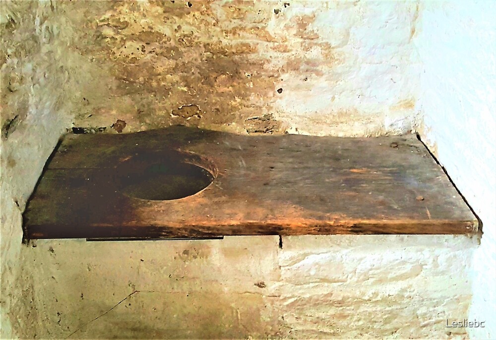 "Medieval Toilet" by Lesliebc Redbubble