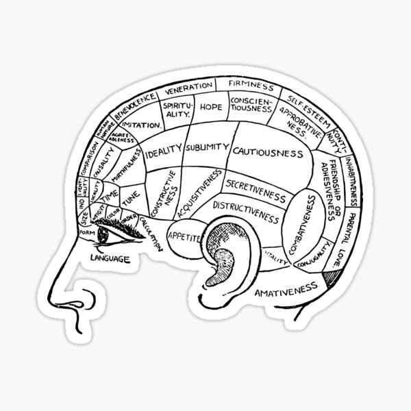 Brain Sticker
