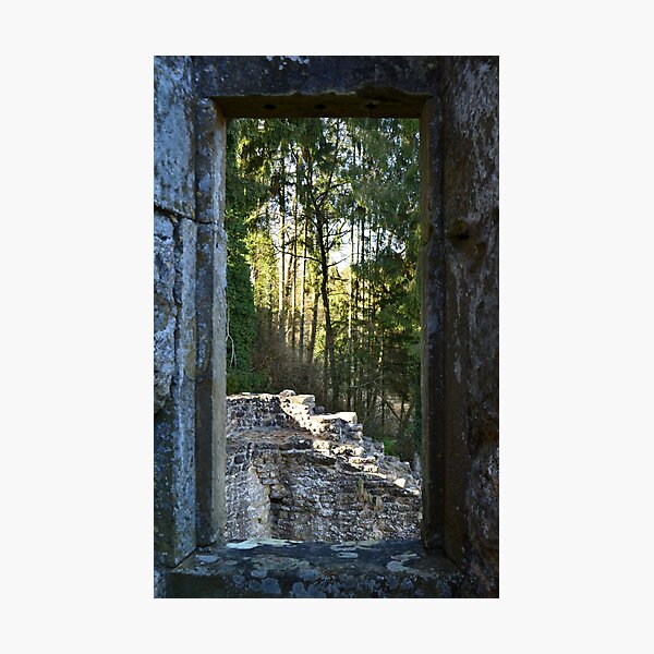 Item preview, Window into nature, Beaufort castle, Luxembourg designed and sold by nikitamanokhin.