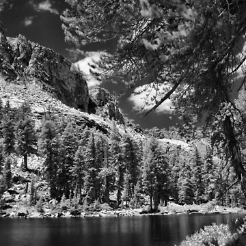 Artwork thumbnail, Ten Lakes Basin - Yosemite N.P. by Rodney Johnson