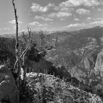 Artwork thumbnail, Grand Canyon of the Tuolumne - Yosemite N.P. by Rodney Johnson