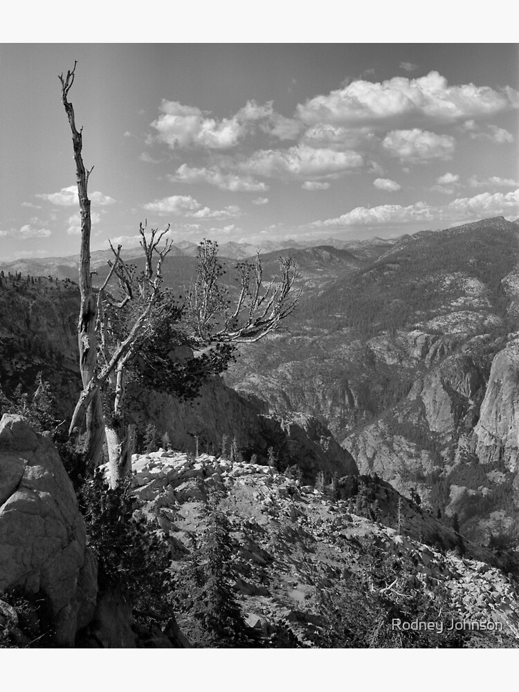 Thumbnail 3 of 3, Sticker, Grand Canyon of the Tuolumne - Yosemite N.P. designed and sold by rodneyj46.