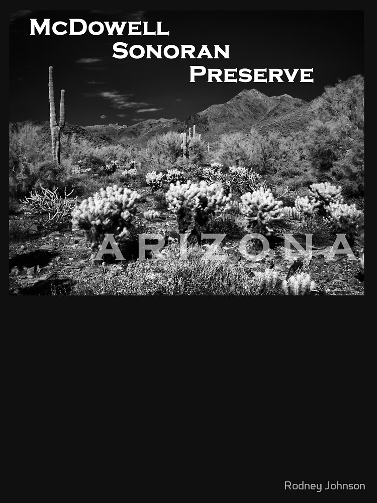 McDowell Sonoran Preserve, Scotsdale Arizona by rodneyj46