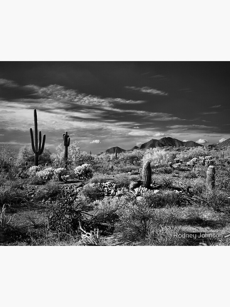 McDowell Sonoran Preserve, Scotsdale Arizona by rodneyj46