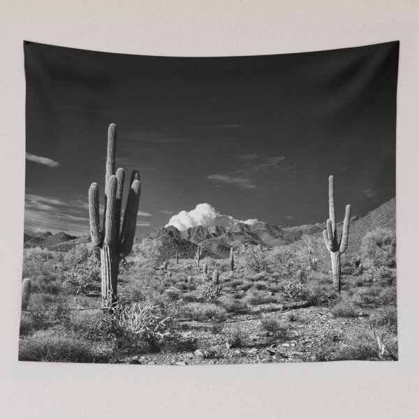 Item preview, McDowell Sonoran Preserve, Scotsdale Arizona designed and sold by Rodney Johnson.