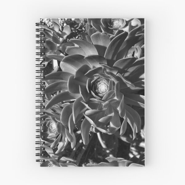 Item preview, Echeverium designed and sold by Rodney Johnson.