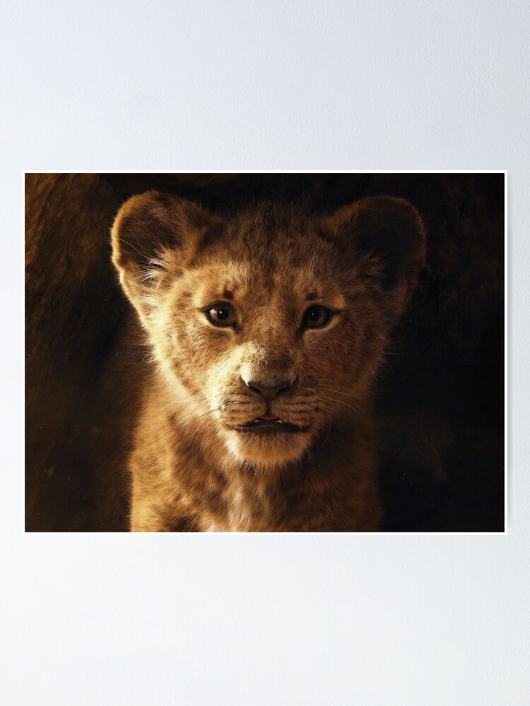 Young Lion King Of The Jungle Poster By Zero G Redbubble