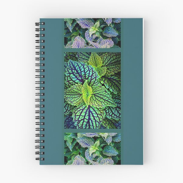 Item preview, Coleus Triptych Panel designed and sold by Jessica Jenney.