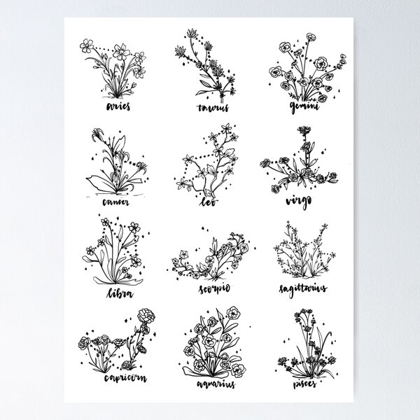 Item preview, Star sign flower diagram  designed and sold by LinearLineArt.