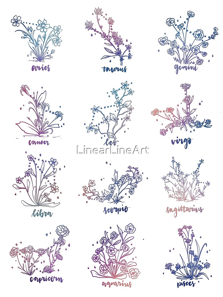 "Horoscope flowers constellation " Poster for Sale by LinearLineArt