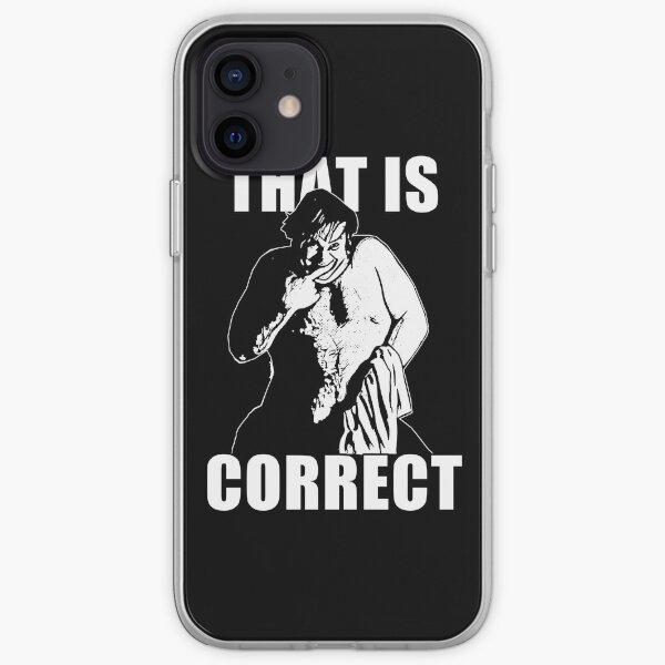 that is Correct iPhone Soft Case