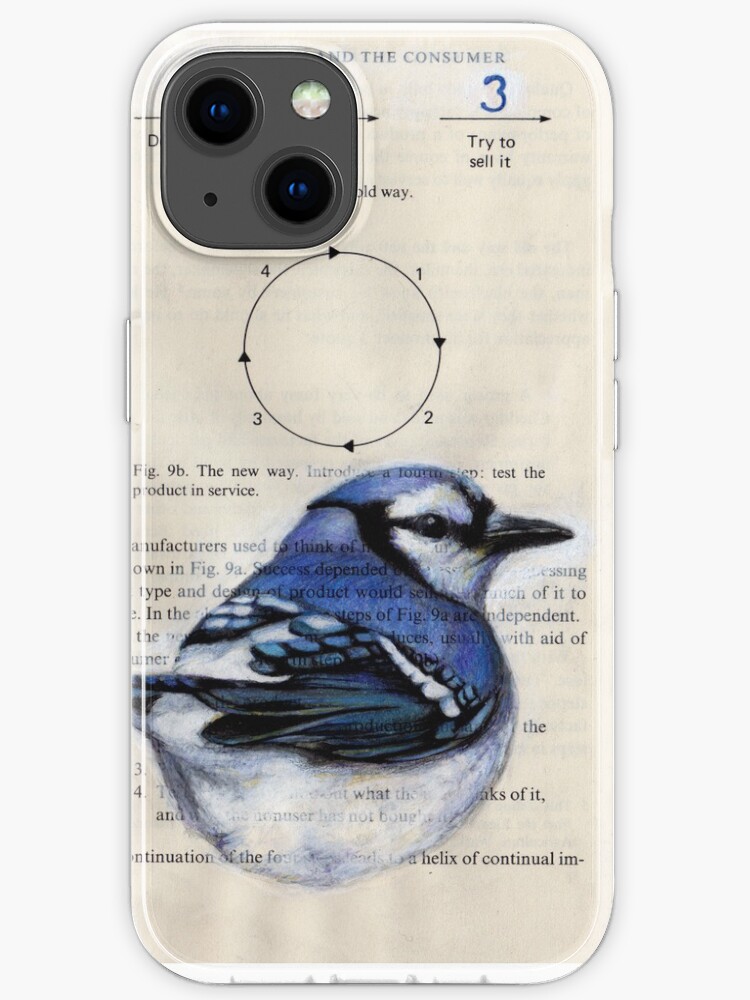 Blue Jay Circle 123 Iphone Case By Paulapaints Redbubble