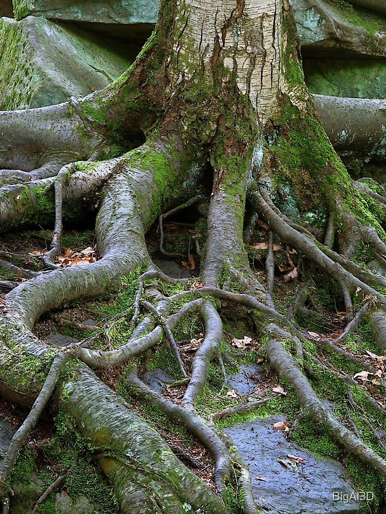 Thumbnail 4 of 4, iPhone Case, Amazing Tree Roots designed and sold by BigAl3D.