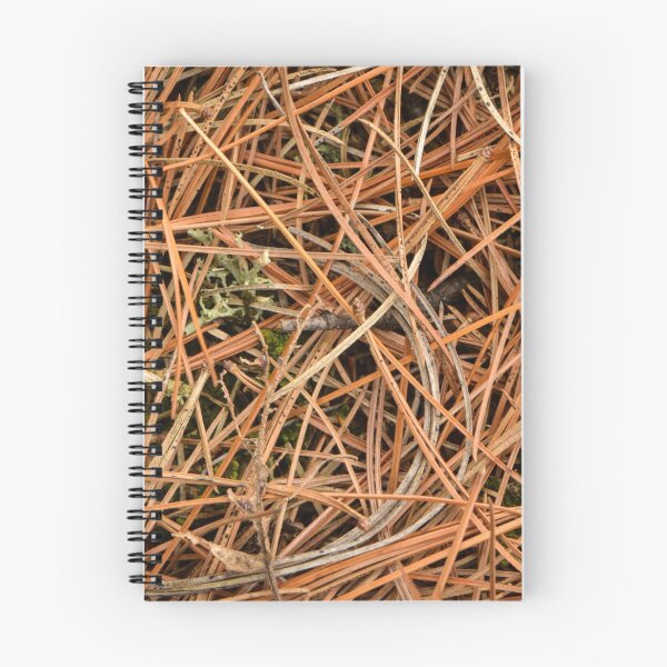 Item preview, Pine Needles designed and sold by brusifur.