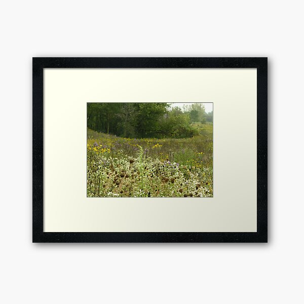 Wildflowers at Mays Lake Framed Art Print