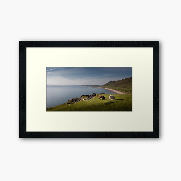 Item preview, Sheep at Rhossili bay designed and sold by Leighton Collins.