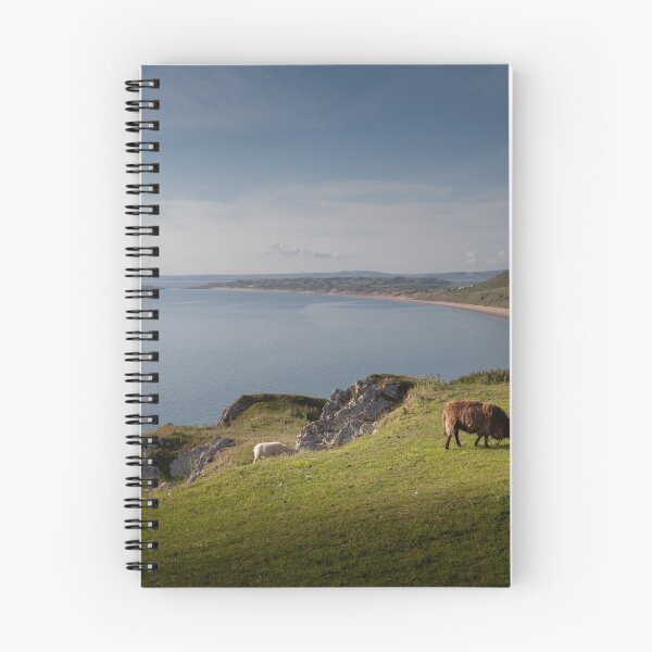 Item preview, Sheep at Rhossili bay designed and sold by Leighton Collins.