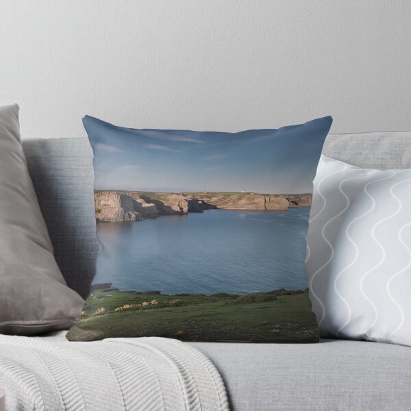 Aperçu de l'œuvre Le littoral de South Gower créée et vendue par Leighton Collins.
