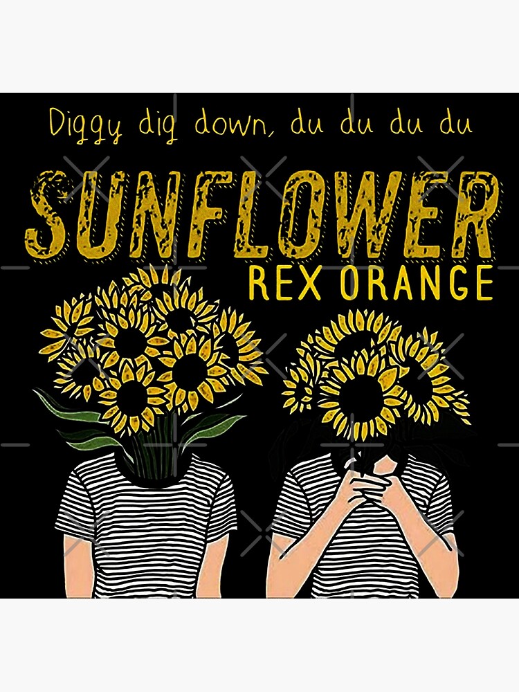 Rex orange. Rex Orange County Sunflower. Rex Orange County album Covers. Apricot Princess Rex Orange.