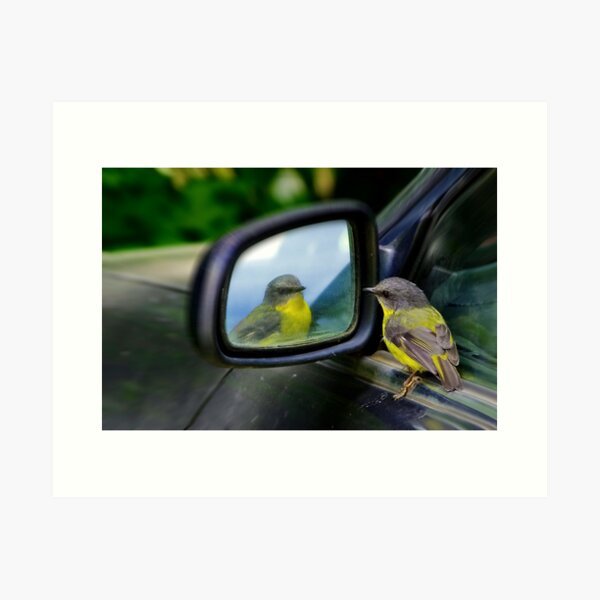 "Self Appreciation" Art Print