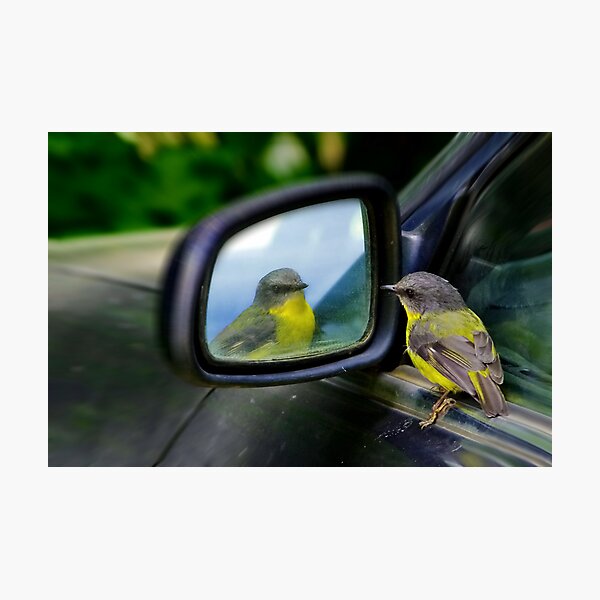 "Self Appreciation" Photographic Print