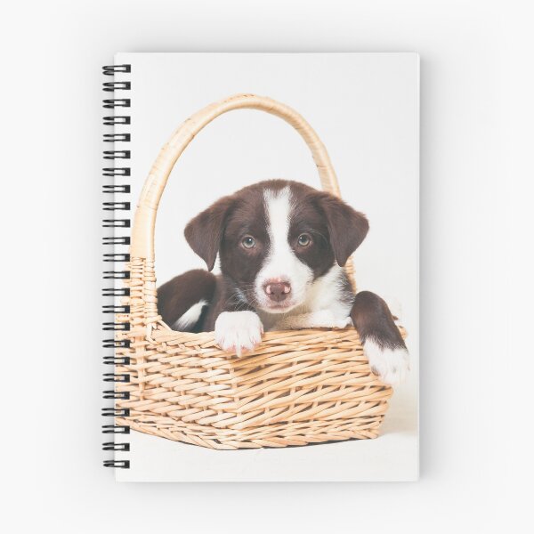 Item preview, Animal Rescue Portraits - Border Collie in a Basket designed and sold by AndreaBorden.