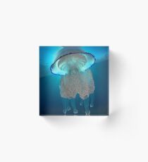 Medusa Acrylic Block