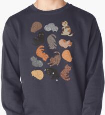 Cats and Cats and Cats Pullover