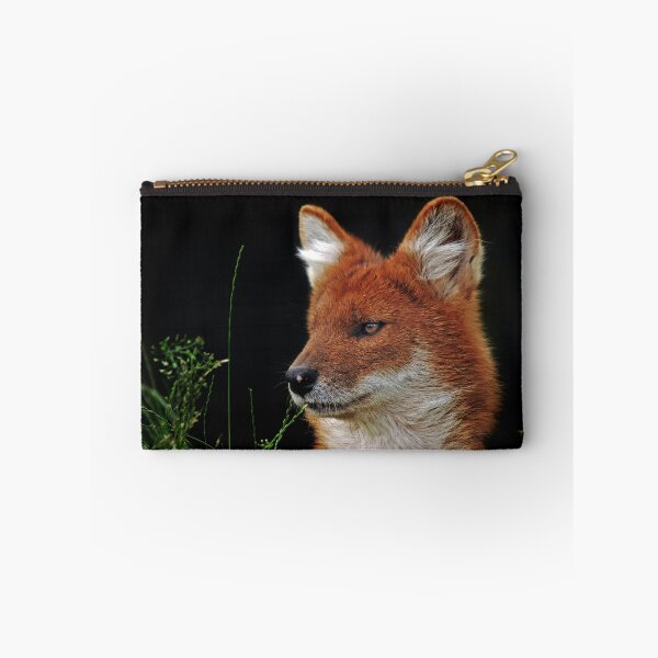 Item preview, Dhole - (Cuon alpinus) designed and sold by senninha.
