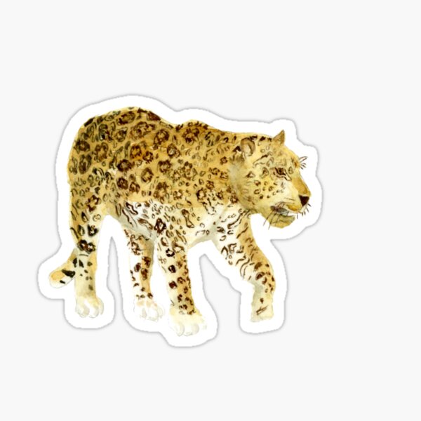 Amazon By Stickers Redbubble - jaguar windbreaker fixed roblox