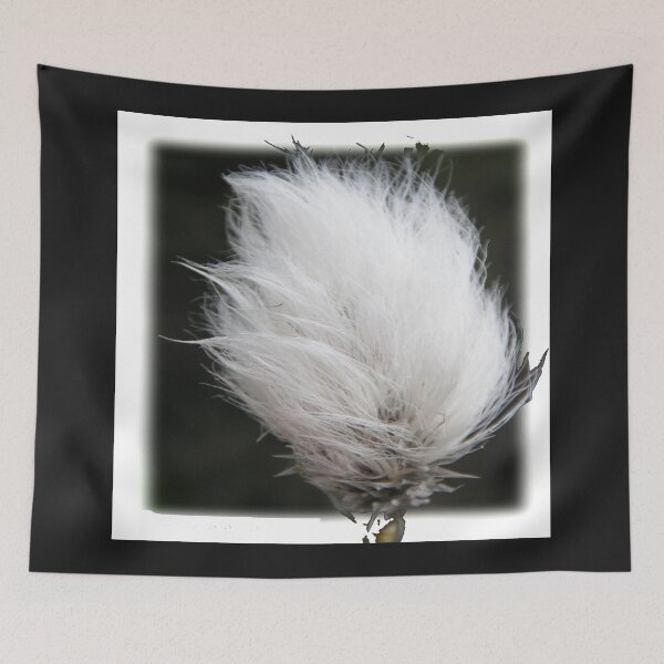 Item preview, "Cotton Grass" designed and sold by Merice  Ewart Marshall.