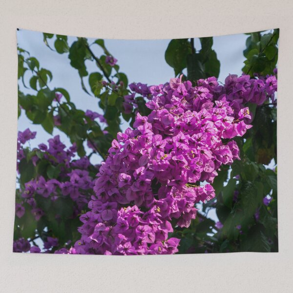 Item preview, Gallivanting in the Tropics - Bougainvillea Cascade In Hot Magenta designed and sold by Georgia Mizuleva.
