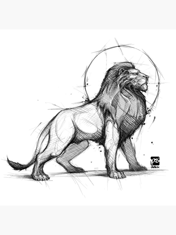 A3 Size White Paper Lion Sketch at best price in Ludhiana | ID: 25974842773-gemektower.com.vn