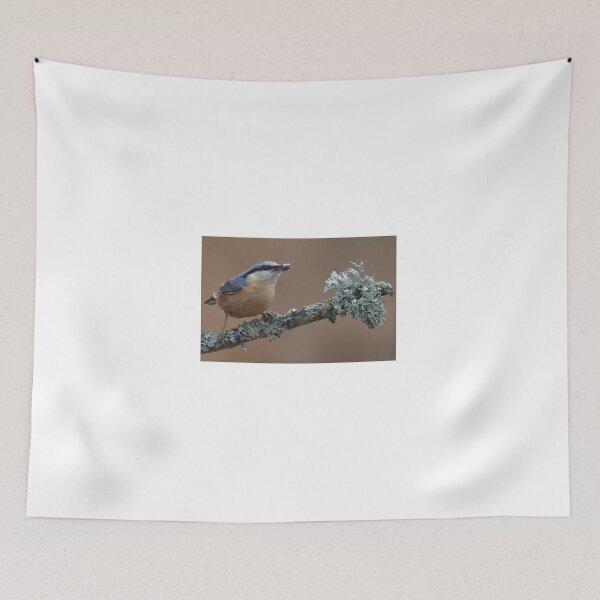 Item preview, Nuthatch designed and sold by Holmewood.