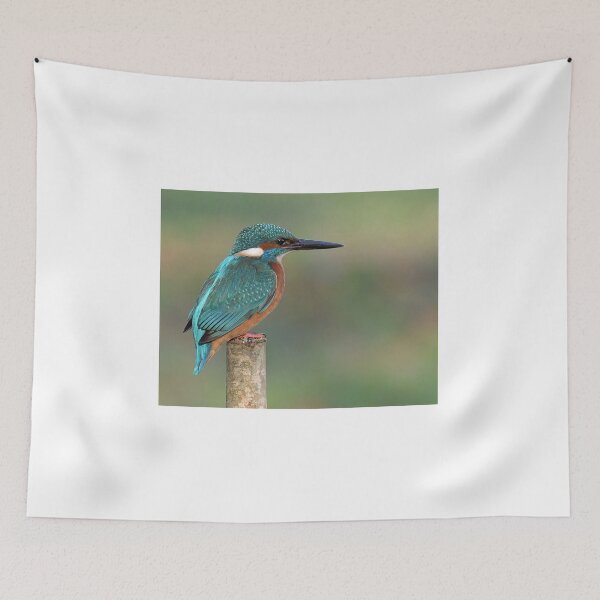 Item preview, Kingfisher designed and sold by Holmewood.