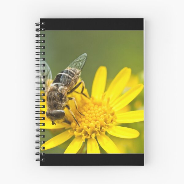 Item preview, Ragwort feast designed and sold by Vicki Field.